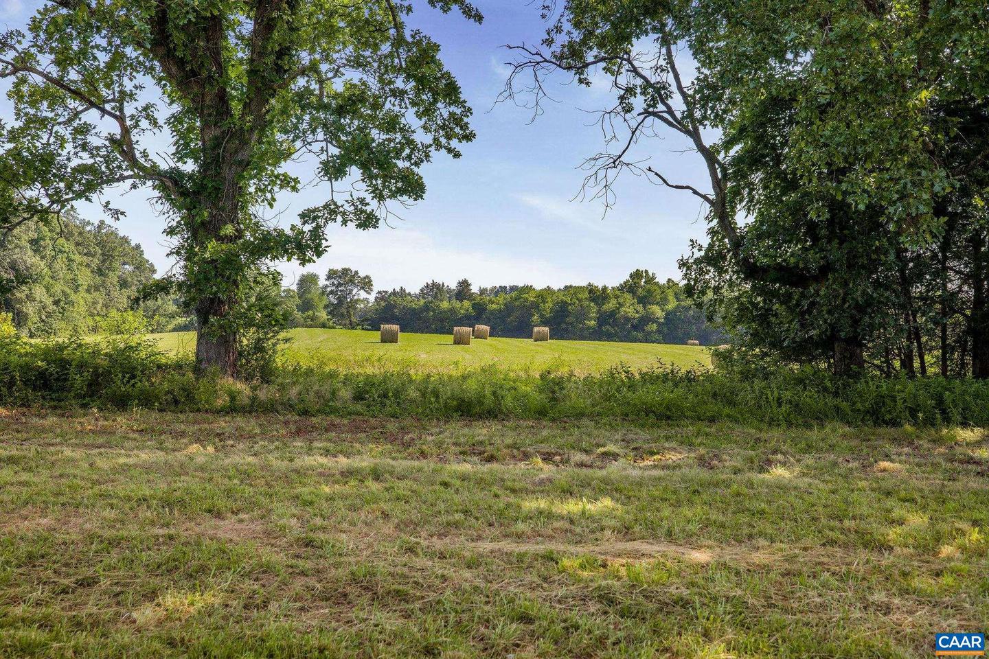 76.99 ACRES COLES ROLLING RD, SCOTTSVILLE, Virginia 24590, ,Farm,For sale,76.99 ACRES COLES ROLLING RD,666864 MLS # 666864