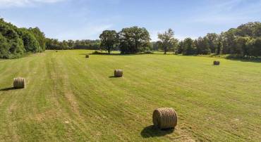 76.99 ACRES COLES ROLLING RD, SCOTTSVILLE, Virginia 24590, ,Farm,For sale,76.99 ACRES COLES ROLLING RD,666864 MLS # 666864