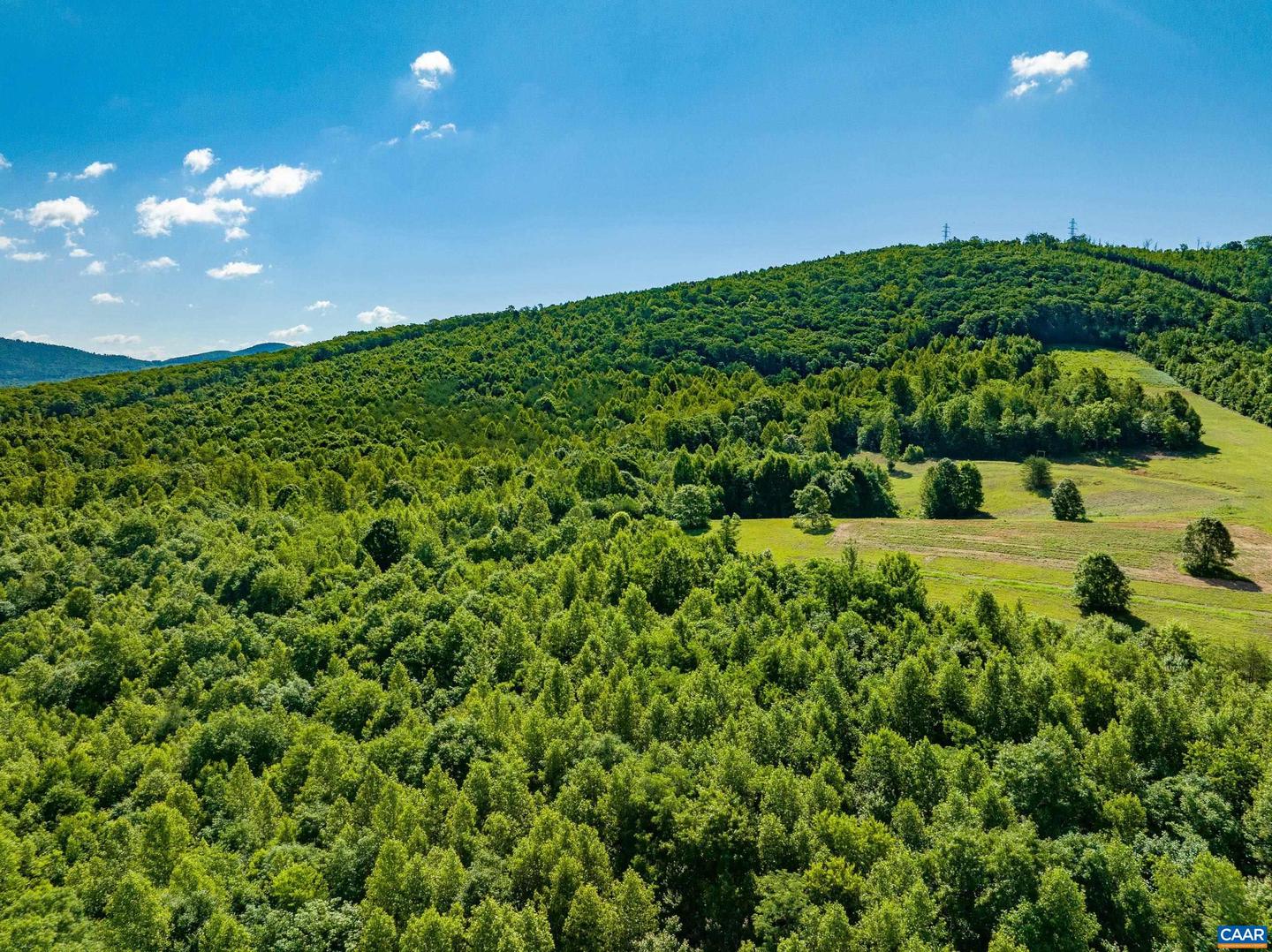7869 LAUREL RD, SHIPMAN, Virginia 22971, ,Farm,For sale,7869 LAUREL RD,667062 MLS # 667062