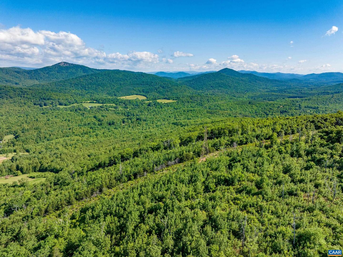 7869 LAUREL RD, SHIPMAN, Virginia 22971, ,Farm,For sale,7869 LAUREL RD,667062 MLS # 667062