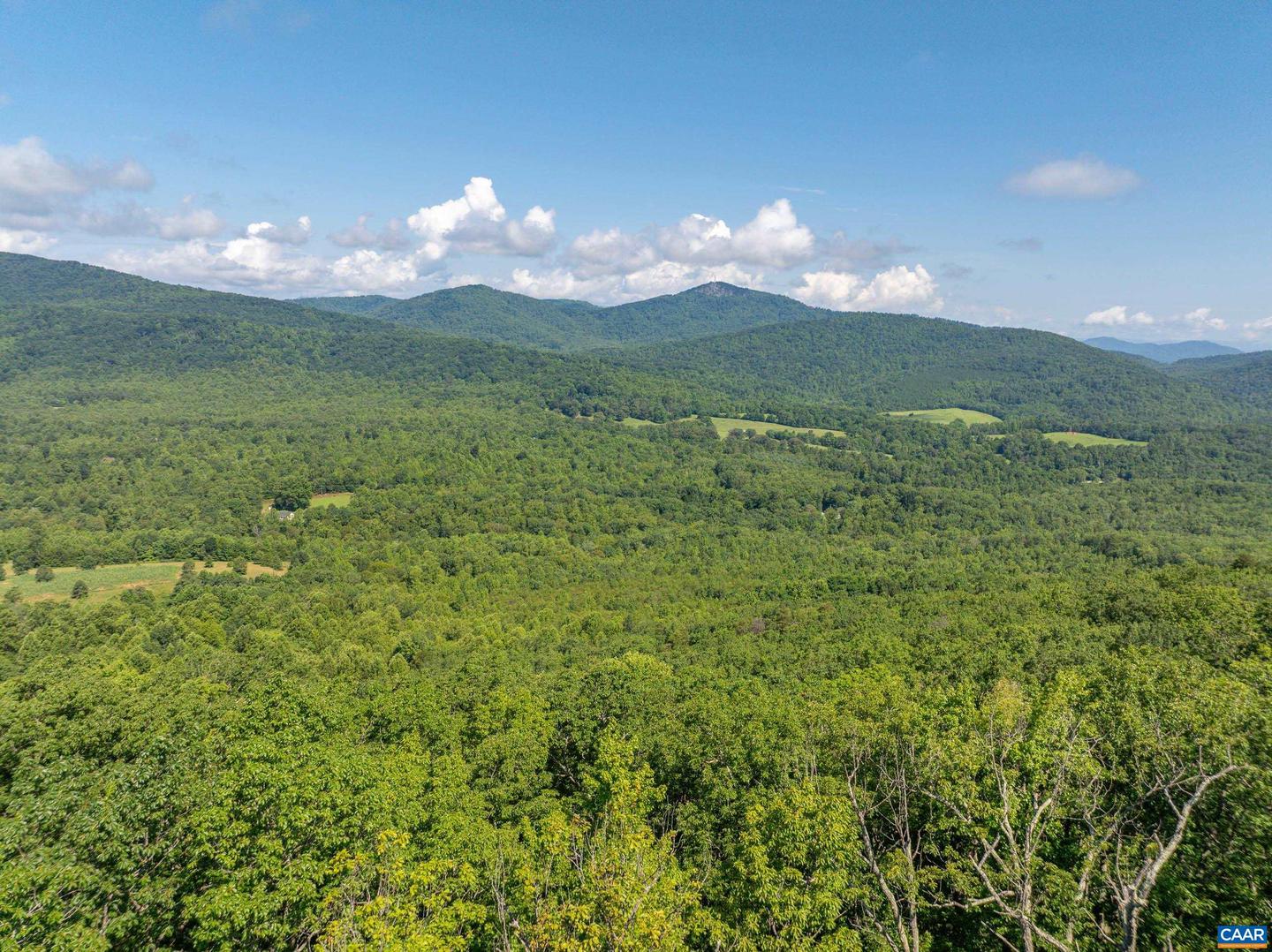 7869 LAUREL RD, SHIPMAN, Virginia 22971, ,Farm,For sale,7869 LAUREL RD,667062 MLS # 667062