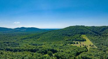 7869 LAUREL RD, SHIPMAN, Virginia 22971, ,Farm,For sale,7869 LAUREL RD,667062 MLS # 667062