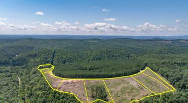 HUNTING LODGE RD, SCHUYLER, Virginia 22969, ,Land,For sale,HUNTING LODGE RD,667063 MLS # 667063
