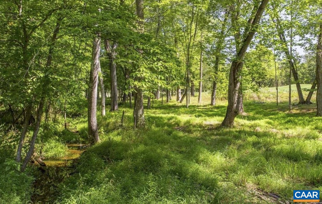 LOT 4 CLUB DR, KESWICK, Virginia 22947, ,Land,For sale,LOT 4 CLUB DR,667067 MLS # 667067