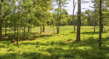 LOT 4 CLUB DR, KESWICK, Virginia 22947, ,Land,For sale,LOT 4 CLUB DR,667067 MLS # 667067