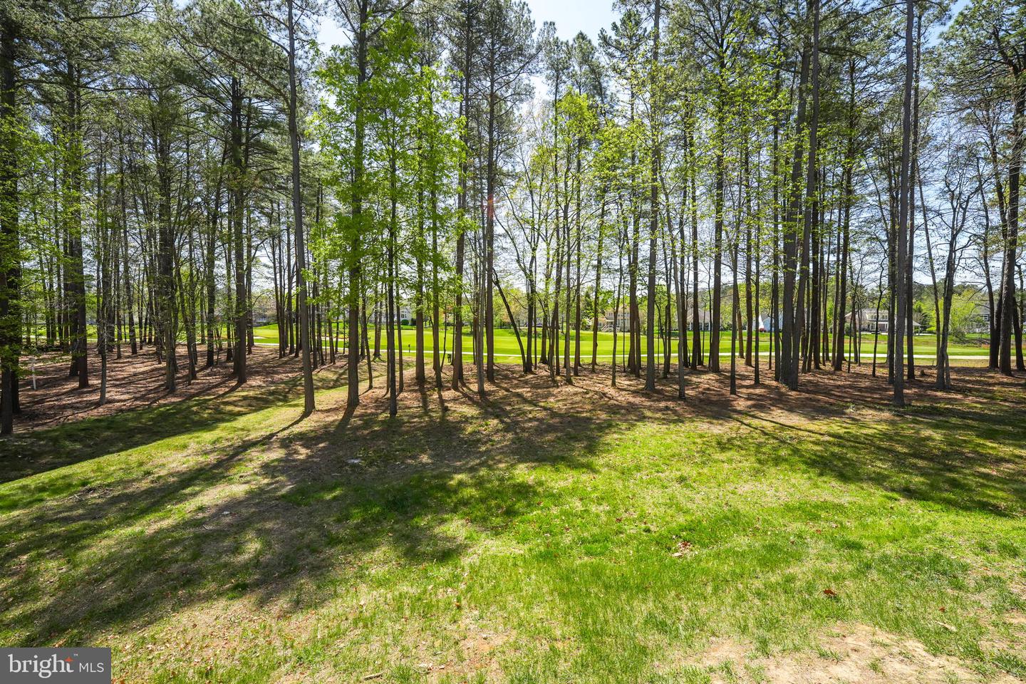 11402 CHIVALRY CHASE LN, SPOTSYLVANIA, Virginia 22551, 4 Bedrooms Bedrooms, ,4 BathroomsBathrooms,Residential,For sale,11402 CHIVALRY CHASE LN,VASP2034888 MLS # VASP2034888