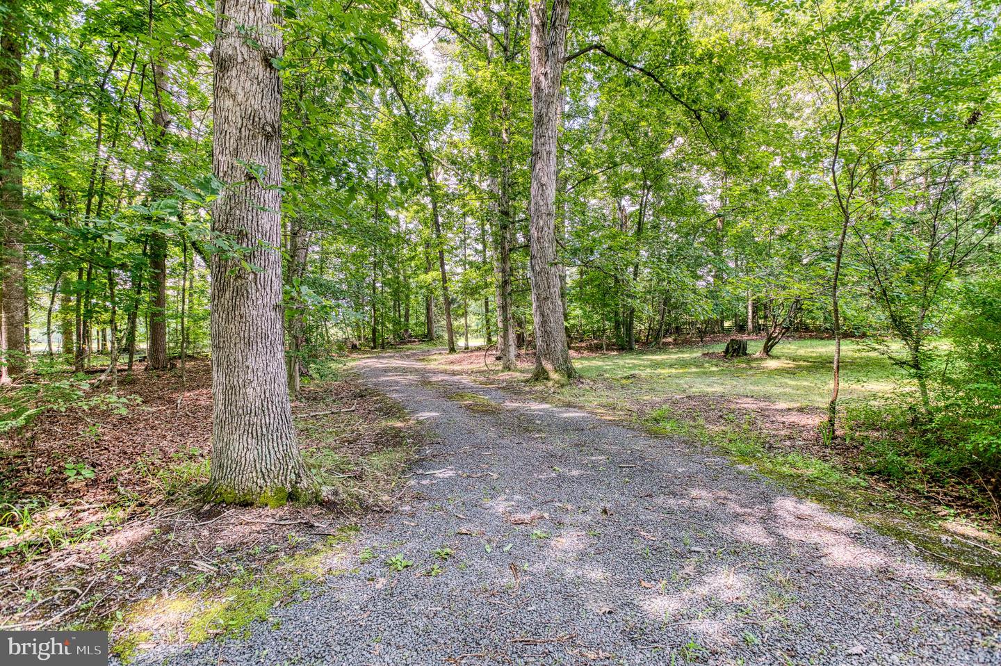 6447 WATERFORD RD, RIXEYVILLE, Virginia 22737, 3 Bedrooms Bedrooms, 13 Rooms Rooms,2 BathroomsBathrooms,Residential,For sale,6447 WATERFORD RD,VACU2011032 MLS # VACU2011032