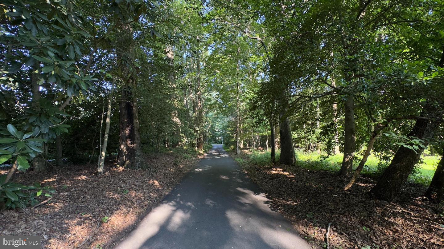 427 SPRINGVALE RD, GREAT FALLS, Virginia 22066, 4 Bedrooms Bedrooms, 13 Rooms Rooms,2 BathroomsBathrooms,Residential,For sale,427 SPRINGVALE RD,VAFX2257192 MLS # VAFX2257192