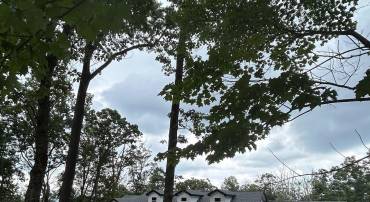 207 OTTER TRL, WINCHESTER, Virginia 22602, 3 Bedrooms Bedrooms, ,2 BathroomsBathrooms,Residential,For sale,207 OTTER TRL,VAFV2035632 MLS # VAFV2035632