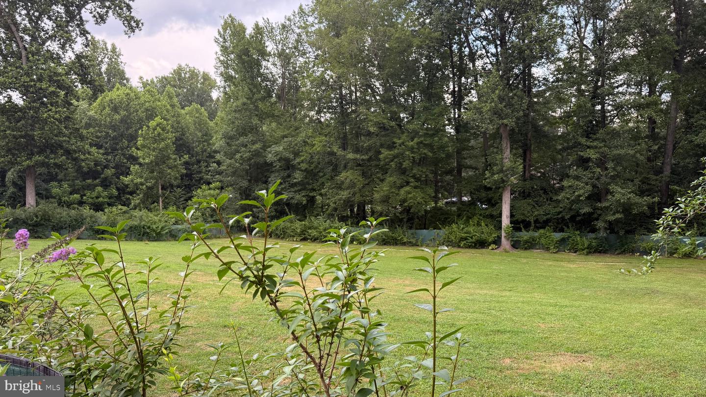 8029 FLIPPO DR, FREDERICKSBURG, Virginia 22408, 3 Bedrooms Bedrooms, ,2 BathroomsBathrooms,Residential,For sale,8029 FLIPPO DR,VASP2034812 MLS # VASP2034812