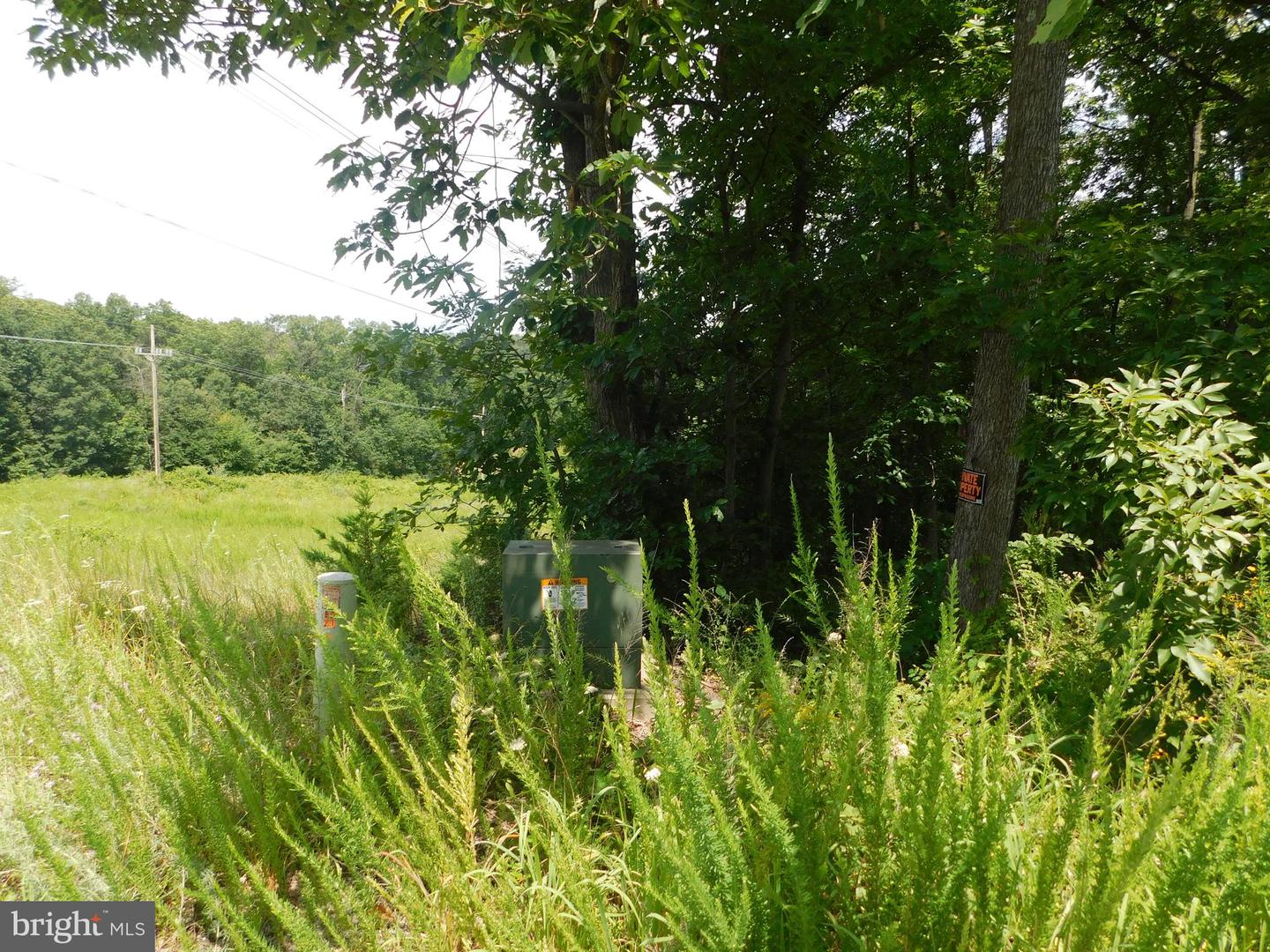 0 LARKIN RIDGE RD, FRONT ROYAL, Virginia 22630, ,Land,For sale,0 LARKIN RIDGE RD,VAWR2011810 MLS # VAWR2011810