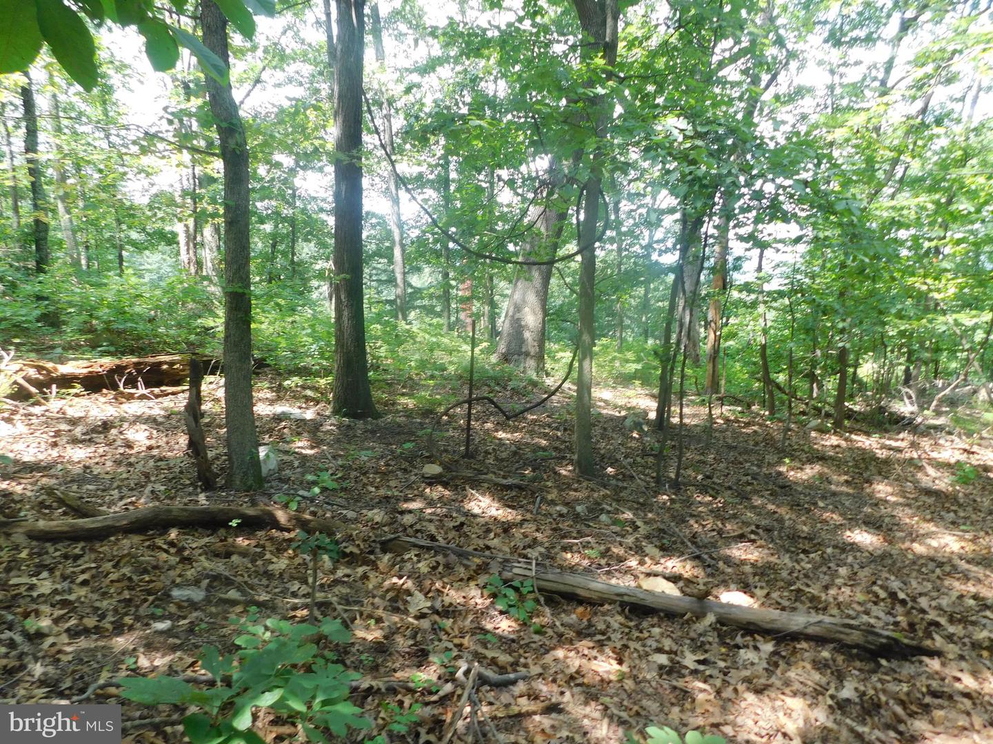 0 LARKIN RIDGE RD, FRONT ROYAL, Virginia 22630, ,Land,For sale,0 LARKIN RIDGE RD,VAWR2011810 MLS # VAWR2011810