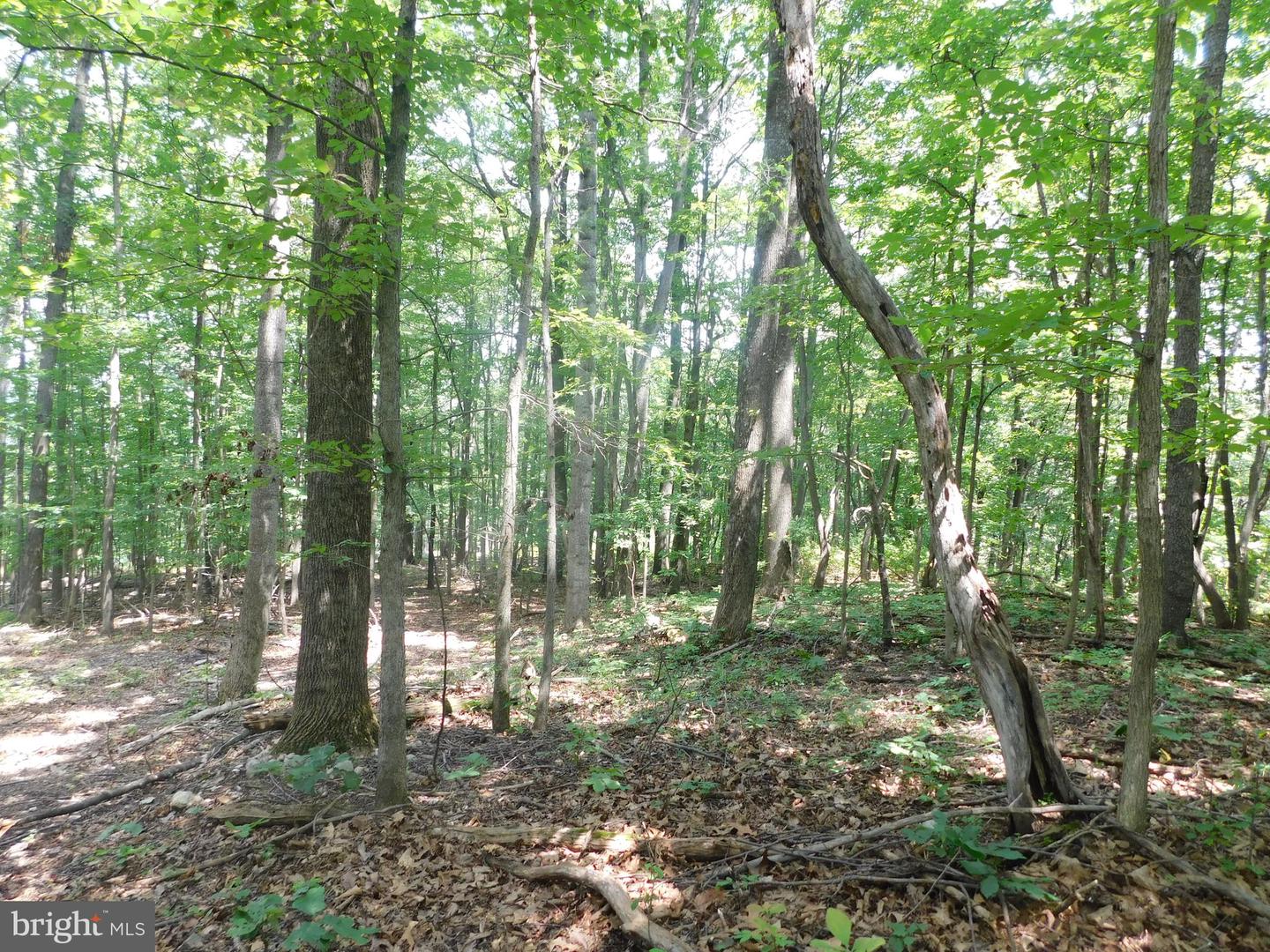 0 LARKIN RIDGE RD, FRONT ROYAL, Virginia 22630, ,Land,For sale,0 LARKIN RIDGE RD,VAWR2011810 MLS # VAWR2011810