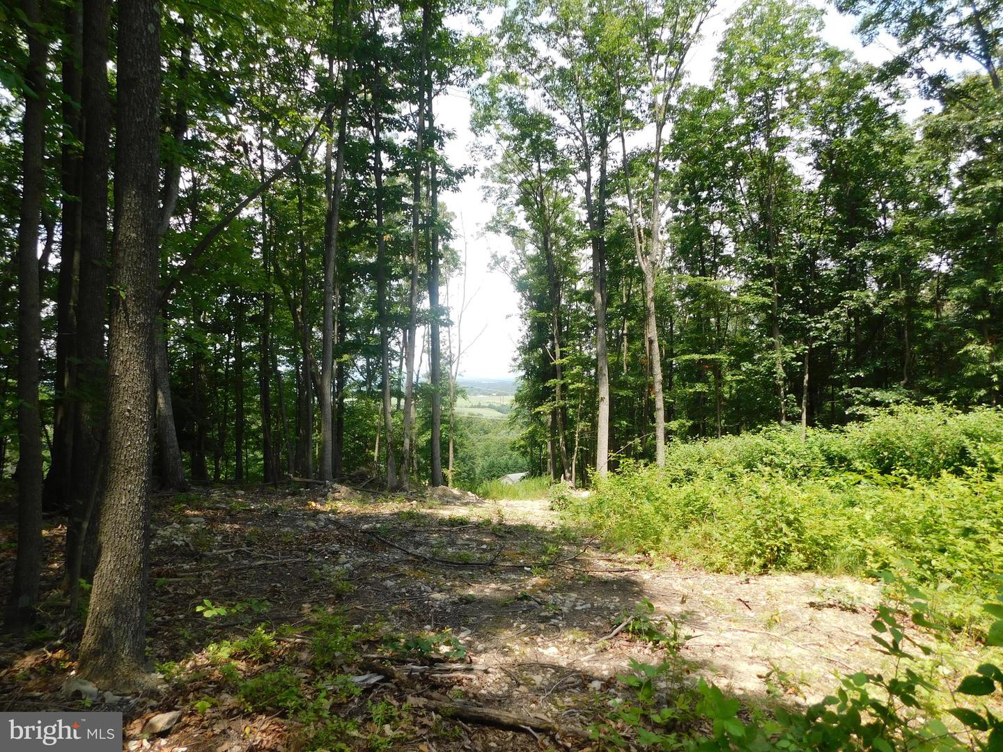 0 LARKIN RIDGE RD, FRONT ROYAL, Virginia 22630, ,Land,For sale,0 LARKIN RIDGE RD,VAWR2011810 MLS # VAWR2011810