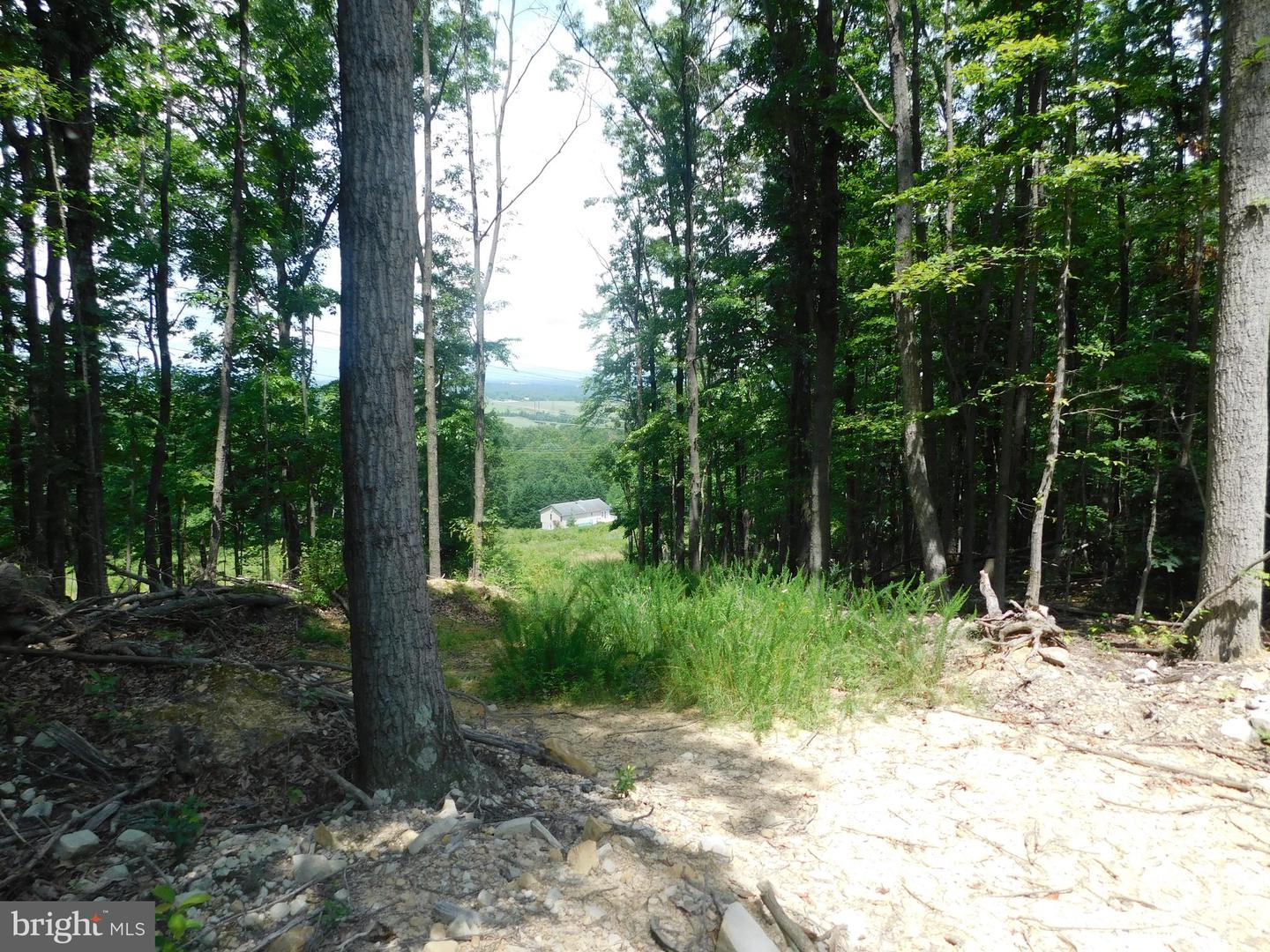 0 LARKIN RIDGE RD, FRONT ROYAL, Virginia 22630, ,Land,For sale,0 LARKIN RIDGE RD,VAWR2011810 MLS # VAWR2011810