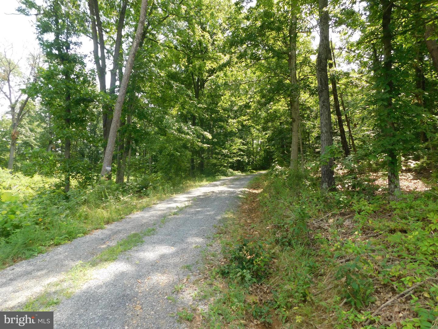 0 LARKIN RIDGE RD, FRONT ROYAL, Virginia 22630, ,Land,For sale,0 LARKIN RIDGE RD,VAWR2011810 MLS # VAWR2011810