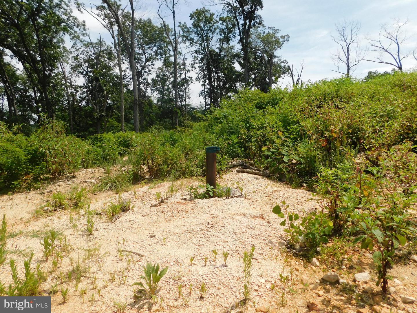 0 LARKIN RIDGE RD, FRONT ROYAL, Virginia 22630, ,Land,For sale,0 LARKIN RIDGE RD,VAWR2011810 MLS # VAWR2011810