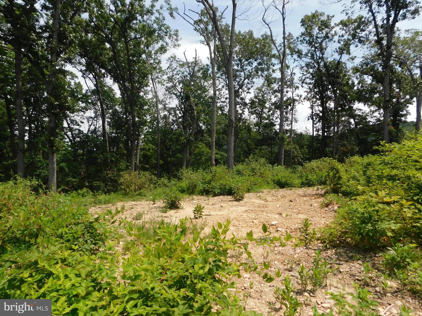 0 LARKIN RIDGE RD, FRONT ROYAL, Virginia 22630, ,Land,For sale,0 LARKIN RIDGE RD,VAWR2011810 MLS # VAWR2011810