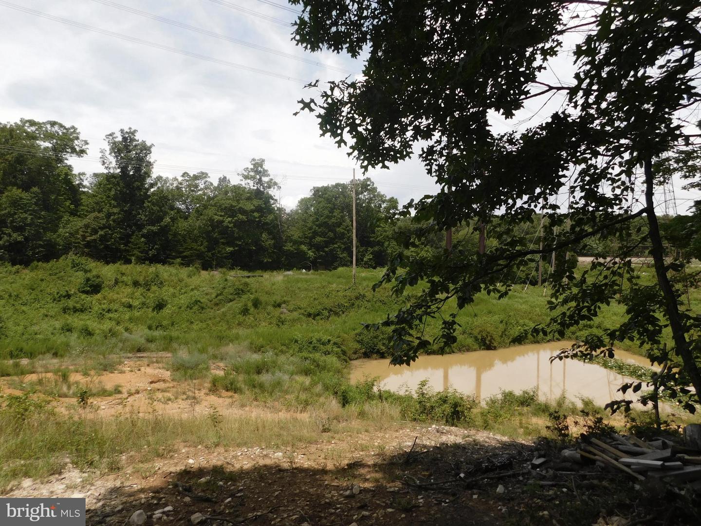 0 LARKIN RIDGE RD, FRONT ROYAL, Virginia 22630, ,Land,For sale,0 LARKIN RIDGE RD,VAWR2011810 MLS # VAWR2011810