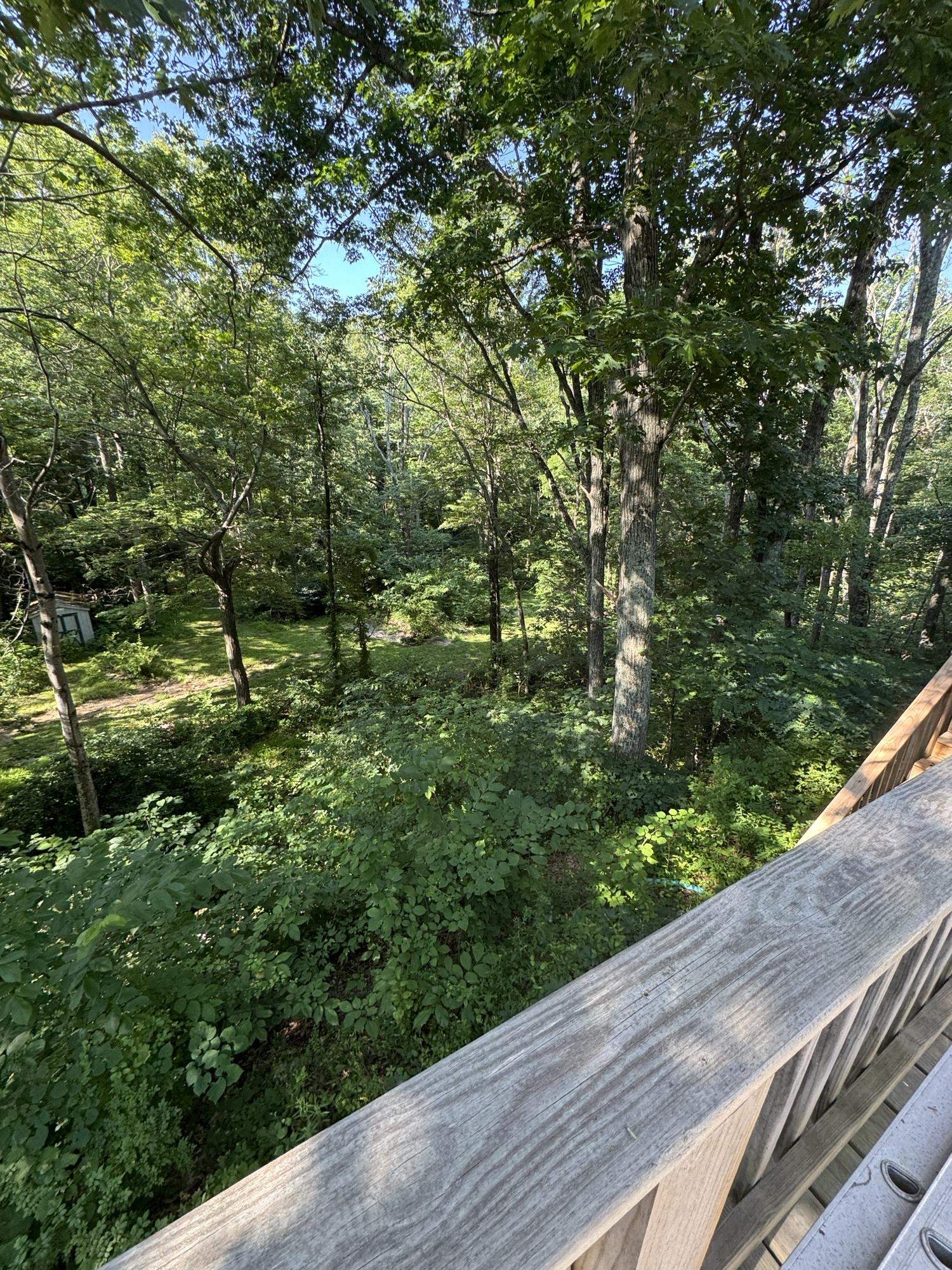 40 N BEAR DEN RD, WAYNESBORO, Virginia 22980, 4 Bedrooms Bedrooms, ,2 BathroomsBathrooms,Residential,40 N BEAR DEN RD,667085 MLS # 667085