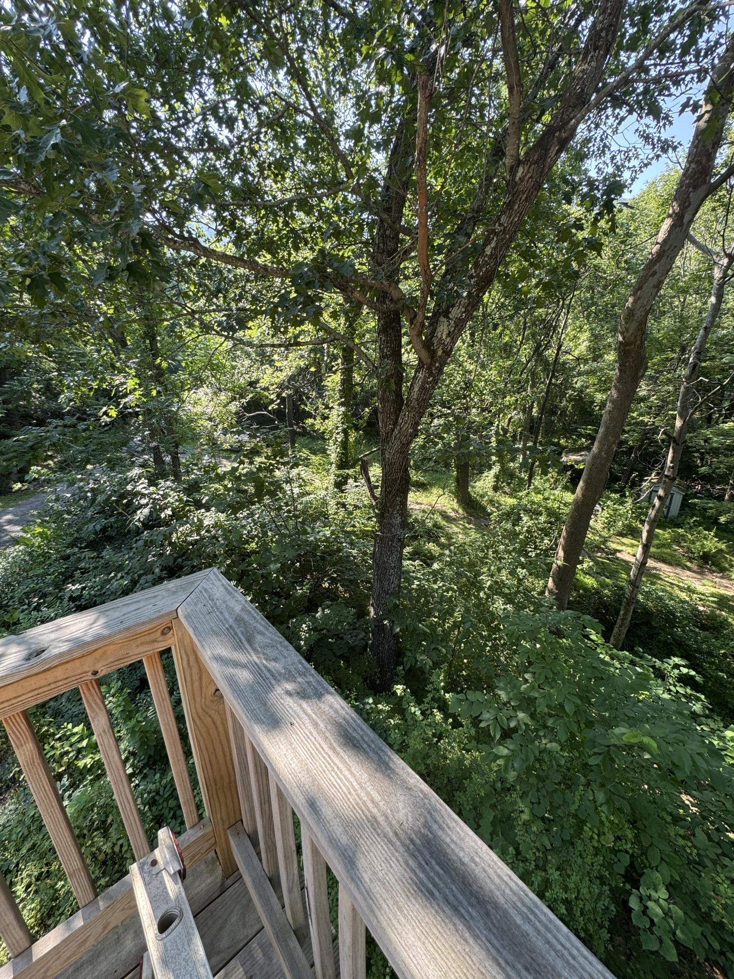 40 N BEAR DEN RD, WAYNESBORO, Virginia 22980, 4 Bedrooms Bedrooms, ,2 BathroomsBathrooms,Residential,40 N BEAR DEN RD,667085 MLS # 667085