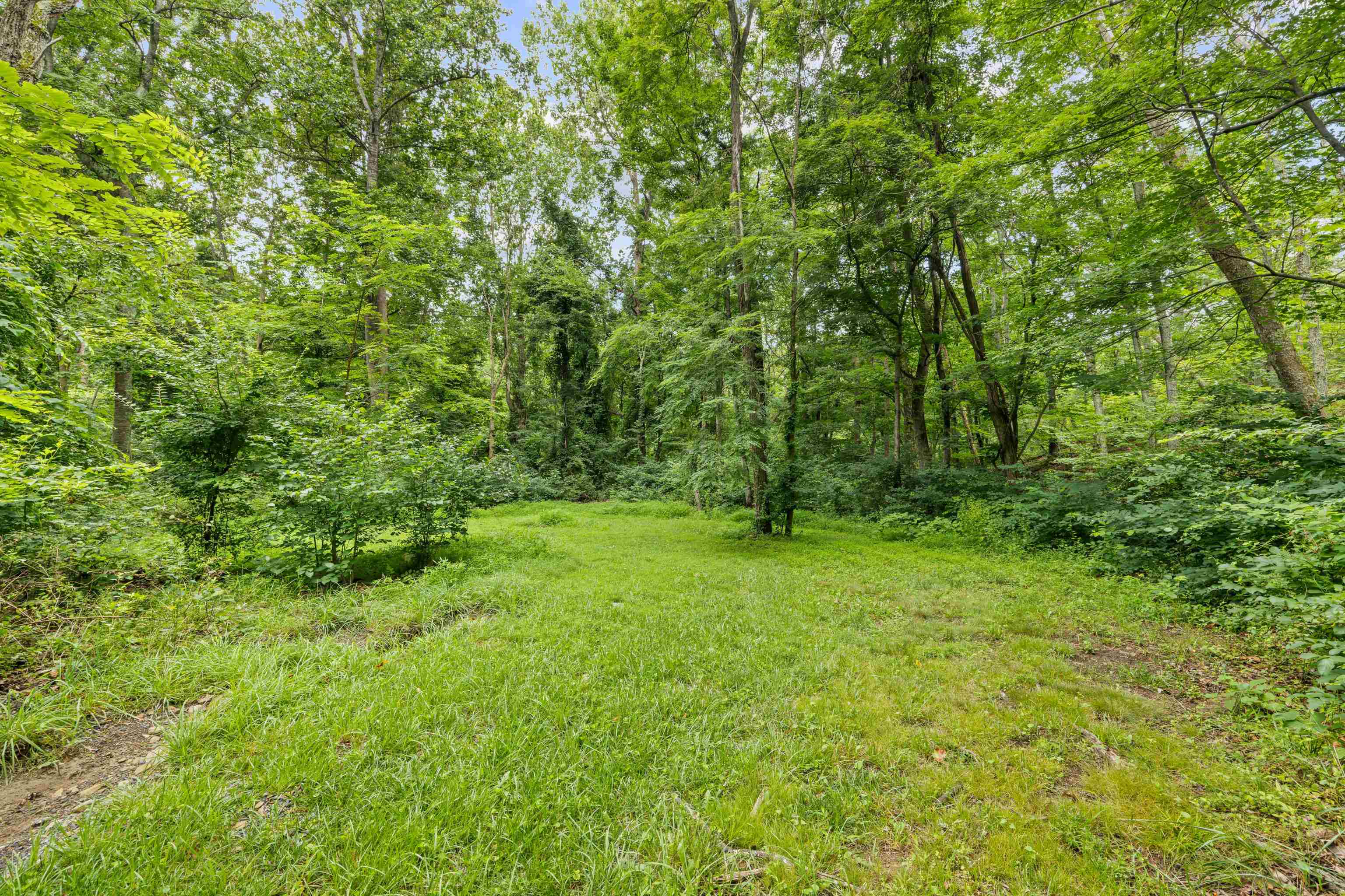 40 N BEAR DEN RD, WAYNESBORO, Virginia 22980, 4 Bedrooms Bedrooms, ,2 BathroomsBathrooms,Residential,40 N BEAR DEN RD,667085 MLS # 667085
