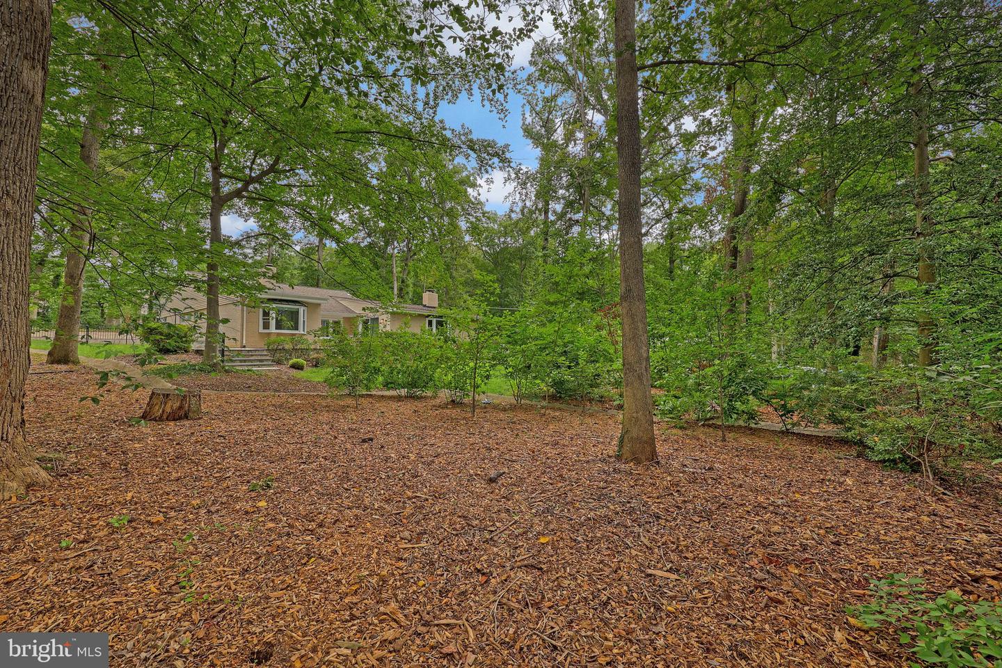 7400 BRADDOCK RD, ANNANDALE, Virginia 22003, 3 Bedrooms Bedrooms, ,3 BathroomsBathrooms,Residential,For sale,7400 BRADDOCK RD,VAFX2250446 MLS # VAFX2250446