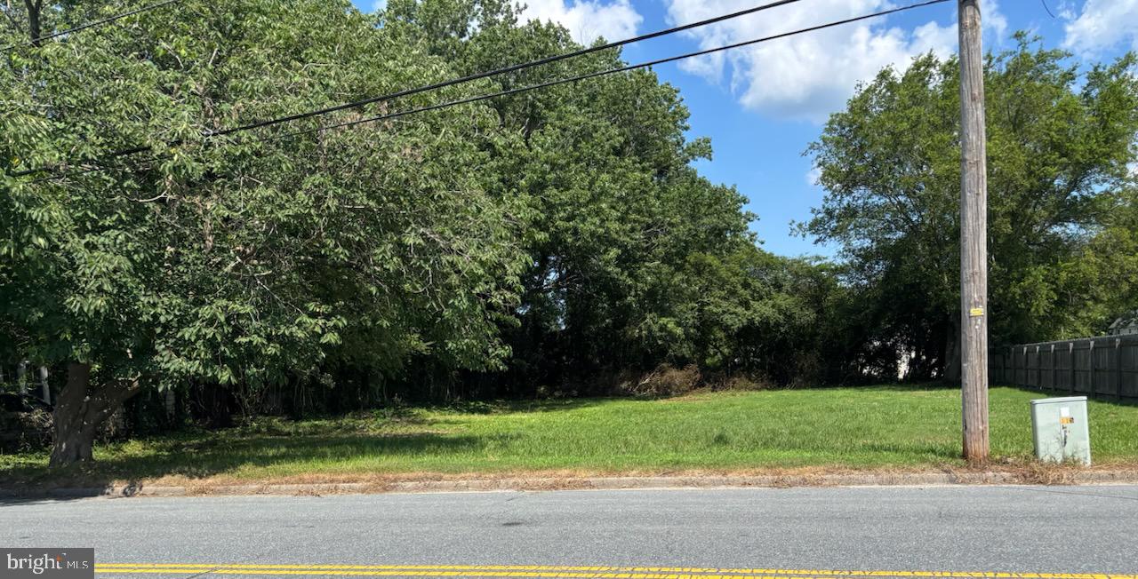 24238 TASLEY RD, ACCOMAC, Virginia 23301, ,Land,For sale,24238 TASLEY RD,VAAC2002074 MLS # VAAC2002074