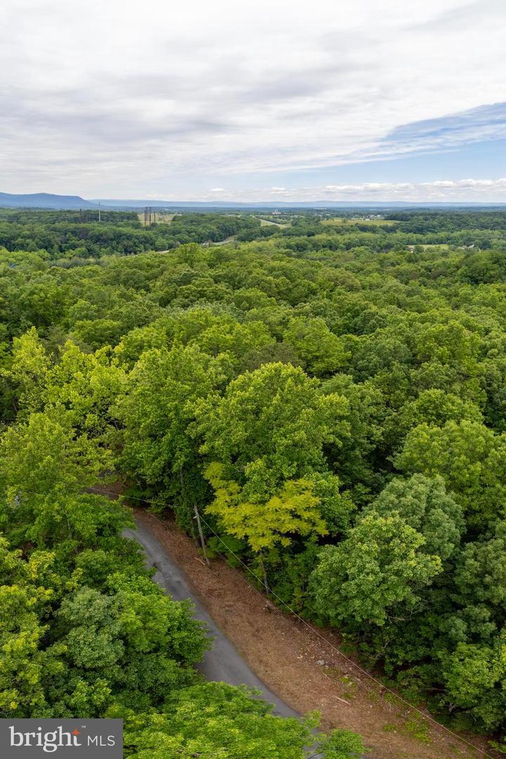 LOT 64 BRANDY RD, FRONT ROYAL, Virginia 22630, ,Land,For sale,LOT 64 BRANDY RD,VAWR2011818 MLS # VAWR2011818