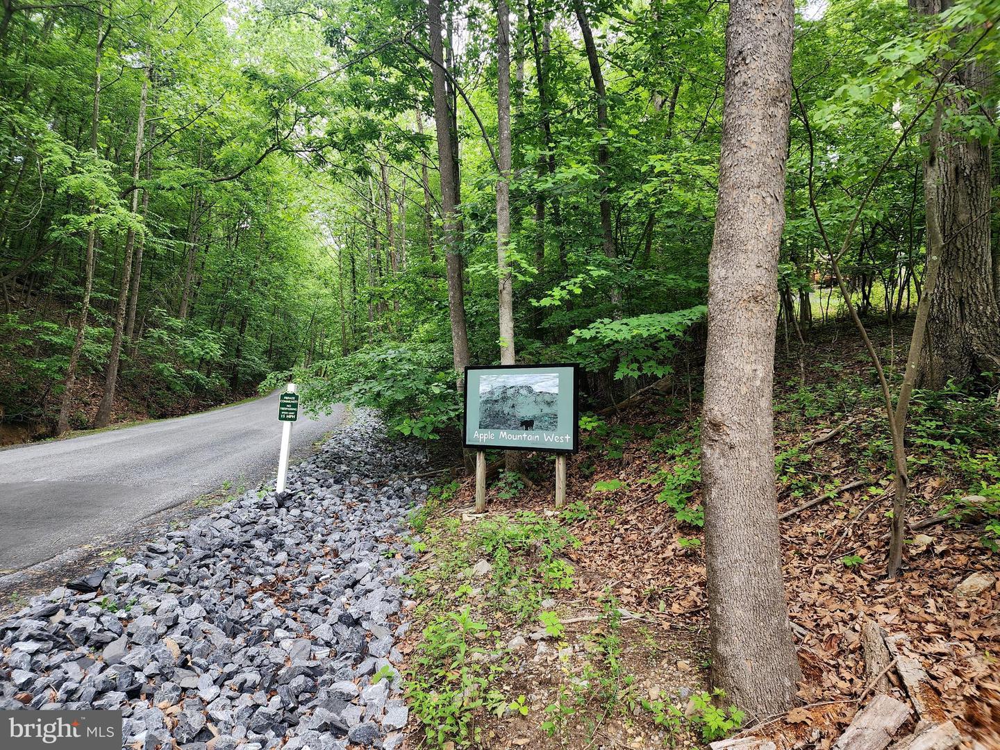 LOT 64 BRANDY RD, FRONT ROYAL, Virginia 22630, ,Land,For sale,LOT 64 BRANDY RD,VAWR2011818 MLS # VAWR2011818