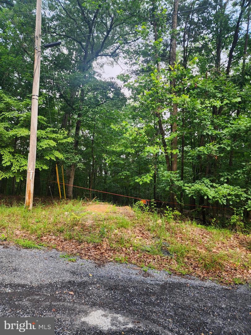 LOT 64 BRANDY RD, FRONT ROYAL, Virginia 22630, ,Land,For sale,LOT 64 BRANDY RD,VAWR2011818 MLS # VAWR2011818