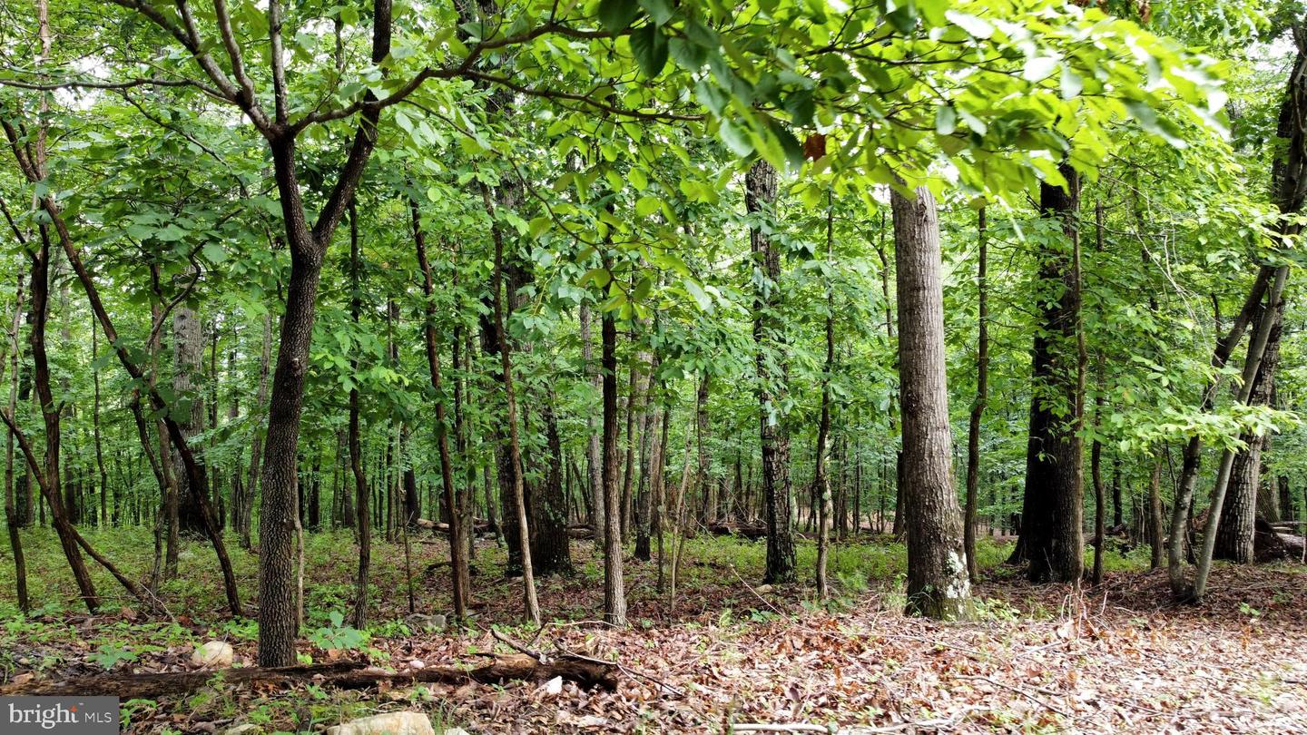 LOT 64 BRANDY RD, FRONT ROYAL, Virginia 22630, ,Land,For sale,LOT 64 BRANDY RD,VAWR2011818 MLS # VAWR2011818