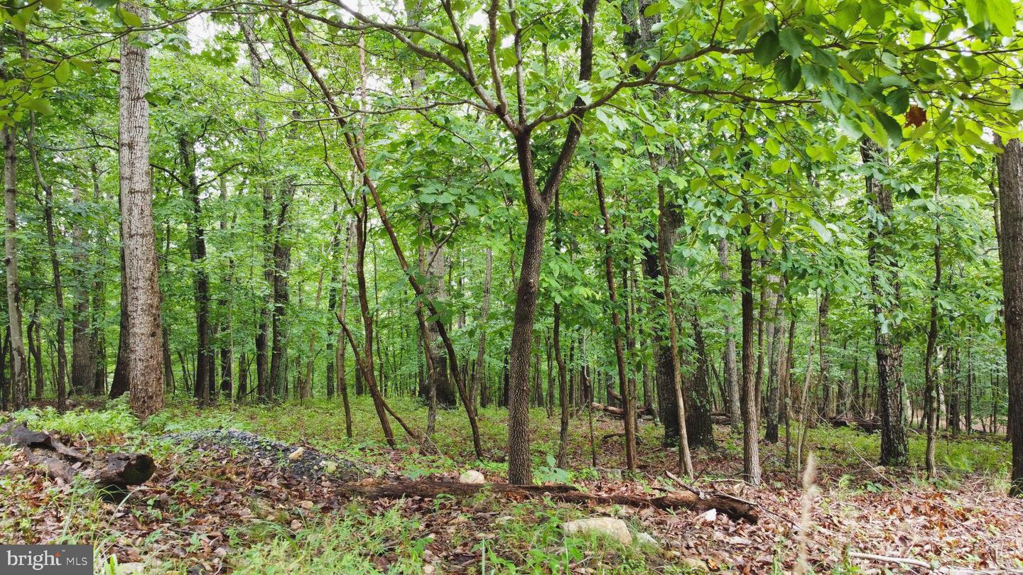 LOT 64 BRANDY RD, FRONT ROYAL, Virginia 22630, ,Land,For sale,LOT 64 BRANDY RD,VAWR2011818 MLS # VAWR2011818