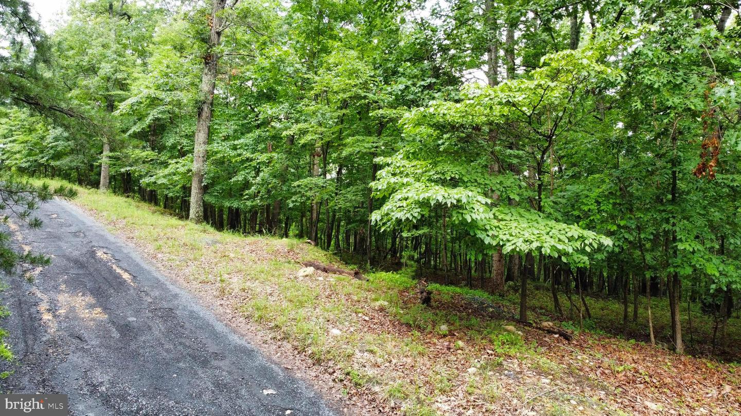 LOT 64 BRANDY RD, FRONT ROYAL, Virginia 22630, ,Land,For sale,LOT 64 BRANDY RD,VAWR2011818 MLS # VAWR2011818