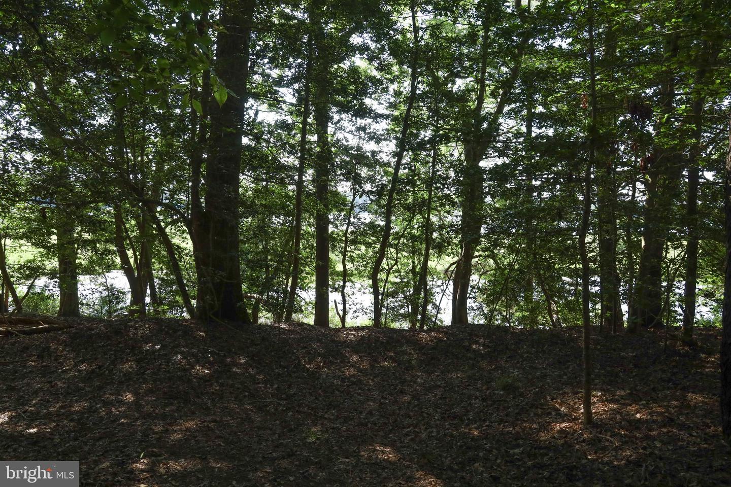 0-36B 1 B 34 POINT ANNE DR, HARTFIELD, Virginia 23071, ,Land,For sale,0-36B 1 B 34 POINT ANNE DR,VAMX2000230 MLS # VAMX2000230