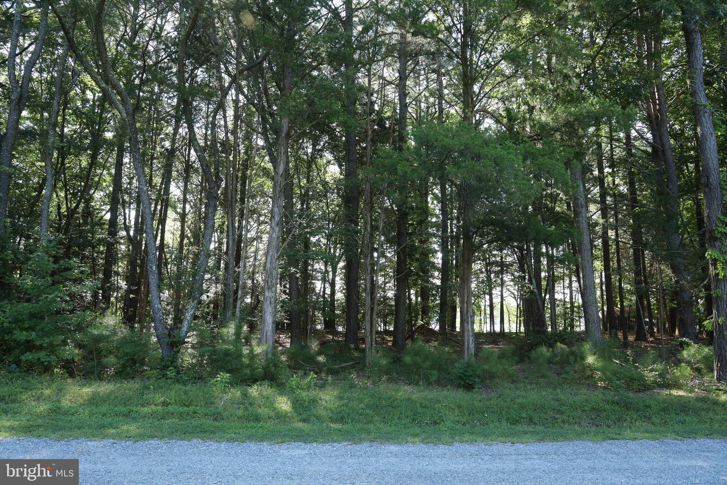 0-36B 1 B 35 POINT ANNE DR, HARTFIELD, Virginia 23071, ,Land,For sale,0-36B 1 B 35 POINT ANNE DR,VAMX2000232 MLS # VAMX2000232