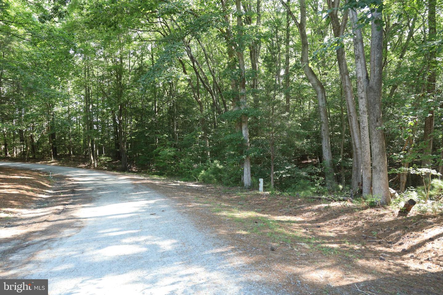 0-36B 1 B 37 POINT ANNE DR, HARTFIELD, Virginia 23071, ,Land,For sale,0-36B 1 B 37 POINT ANNE DR,VAMX2000236 MLS # VAMX2000236