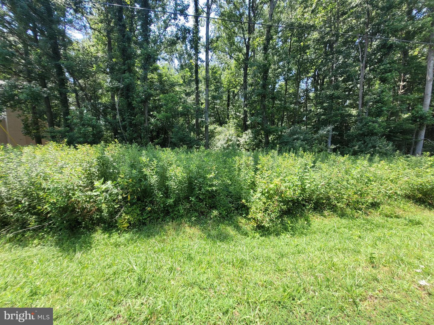 LOT 40 GROVE DR, MONTROSS, Virginia 22520, ,Land,For sale,LOT 40 GROVE DR,VAWE2009380 MLS # VAWE2009380