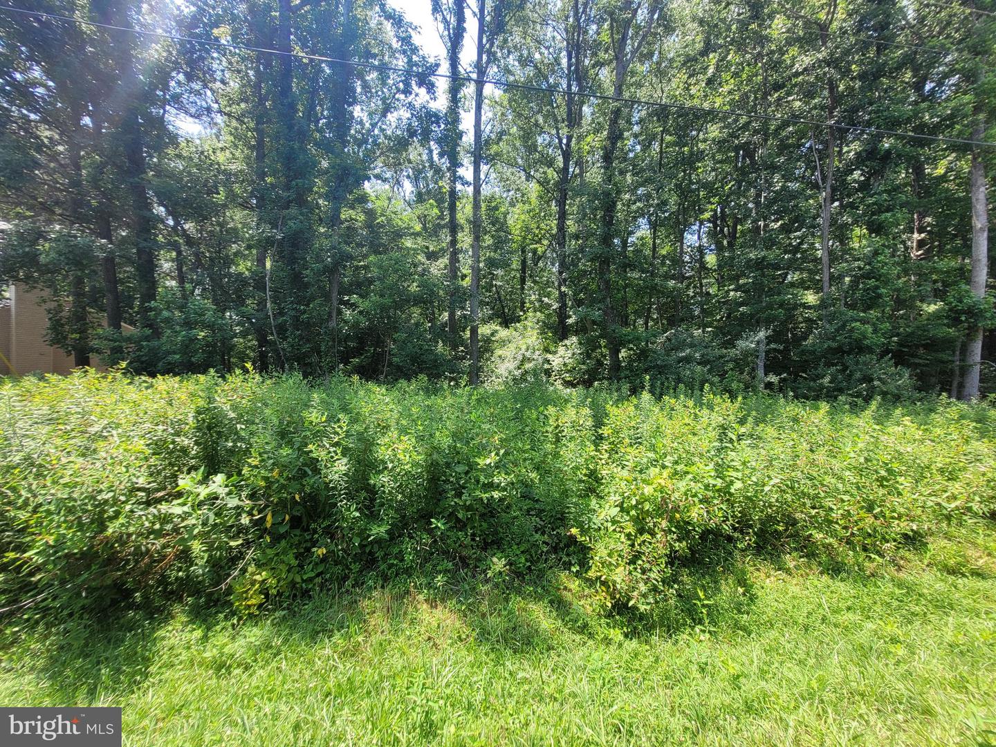 LOT 40 GROVE DR, MONTROSS, Virginia 22520, ,Land,For sale,LOT 40 GROVE DR,VAWE2009380 MLS # VAWE2009380