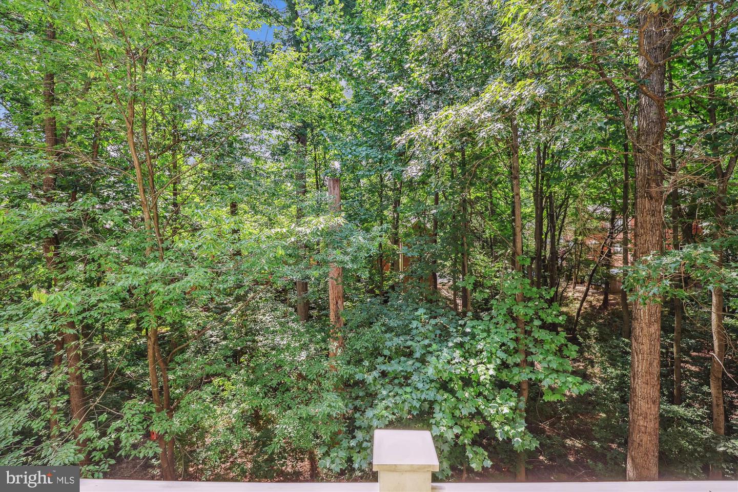 1307 WINDLEAF DR #139 - N, RESTON, Virginia 20194, 2 Bedrooms Bedrooms, ,2 BathroomsBathrooms,Residential,For sale,1307 WINDLEAF DR #139 - N,VAFX2253268 MLS # VAFX2253268