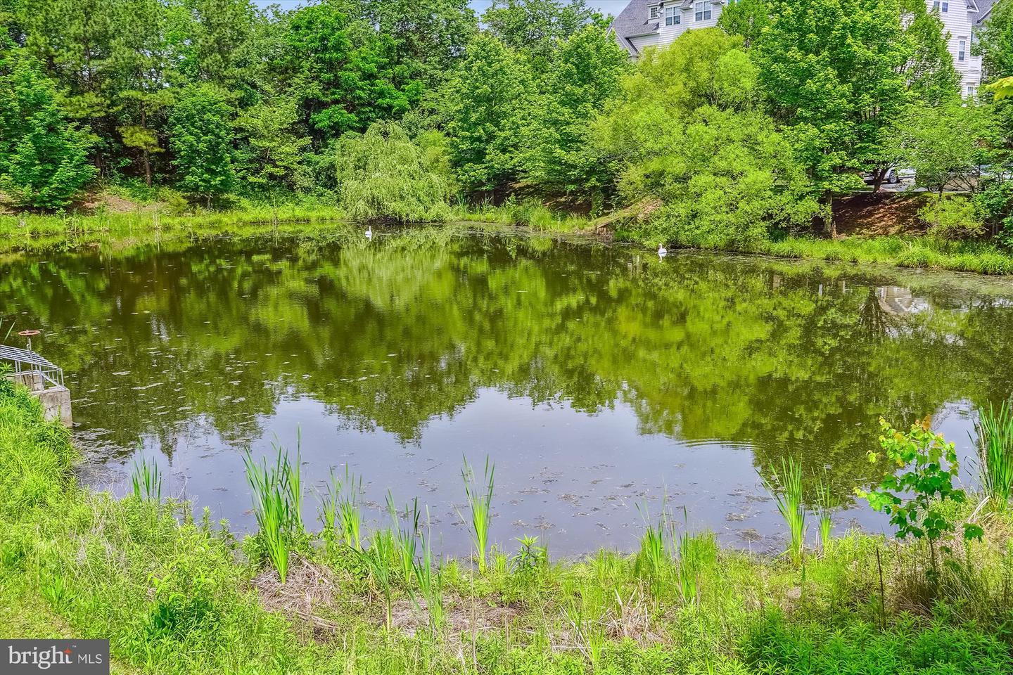7170 LITTLE THAMES DR, GAINESVILLE, Virginia 20155, 2 Bedrooms Bedrooms, ,2 BathroomsBathrooms,Residential,For sale,7170 LITTLE THAMES DR,VAPW2091888 MLS # VAPW2091888
