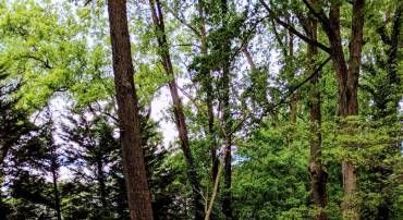 1616 6TH LOT D PL, MCLEAN, Virginia 22101, ,Land,For sale,1616 6TH LOT D PL,VAFX2256954 MLS # VAFX2256954