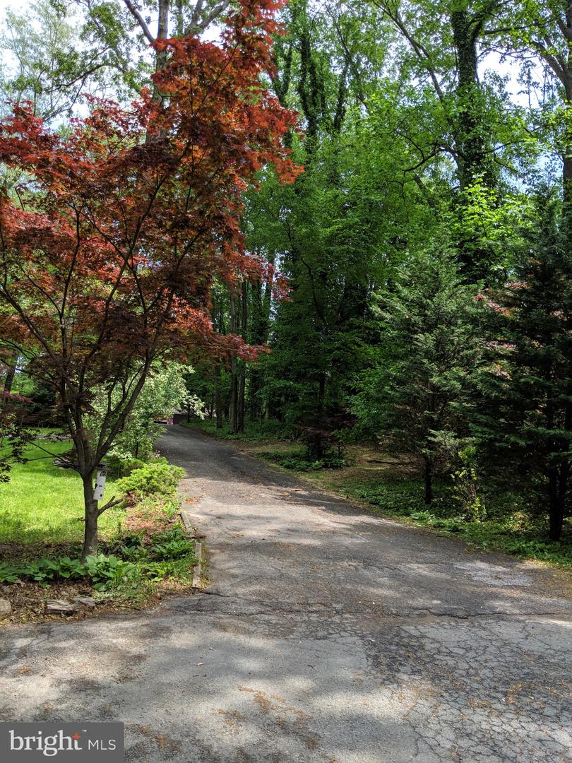 1616 6TH LOT D AND C PL, MCLEAN, Virginia 22101, ,Land,For sale,1616 6TH LOT D AND C PL,VAFX2257366 MLS # VAFX2257366