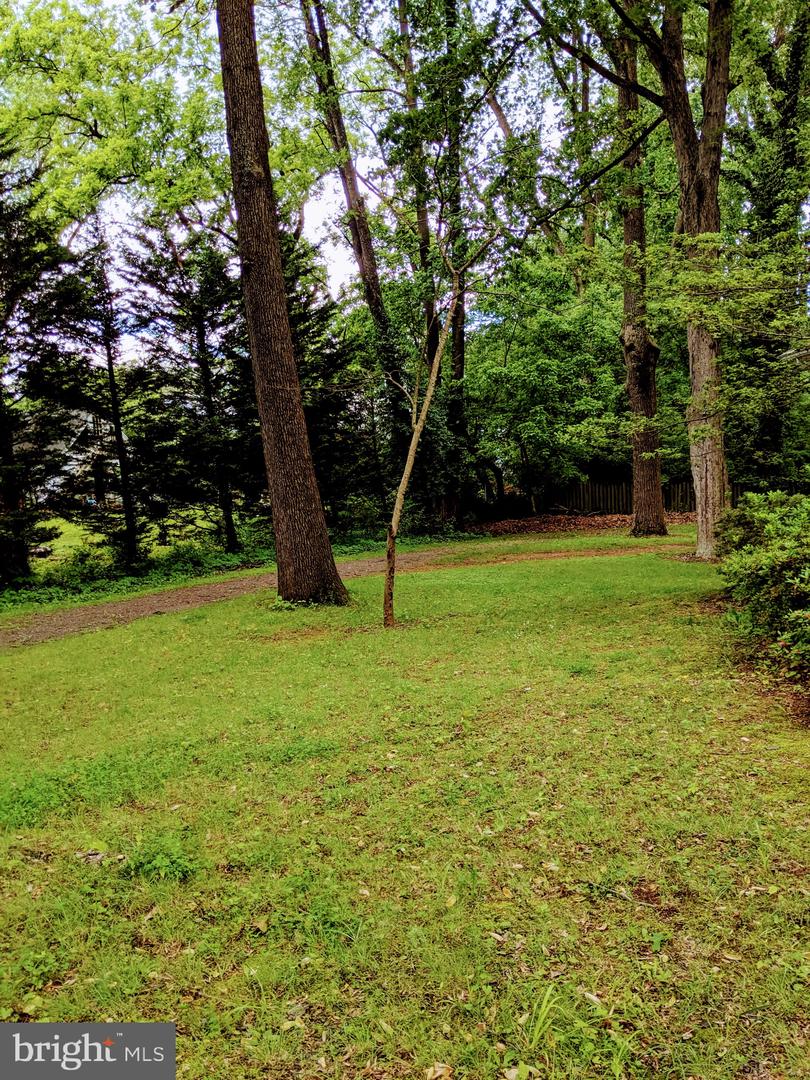 1616 6TH LOT D AND C PL, MCLEAN, Virginia 22101, ,Land,For sale,1616 6TH LOT D AND C PL,VAFX2257366 MLS # VAFX2257366