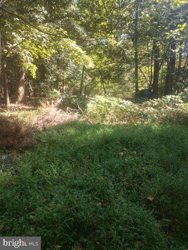 5940 BARBERRY TRL, LORTON, Virginia 22079, ,Land,For sale,5940 BARBERRY TRL,VAFX2257518 MLS # VAFX2257518