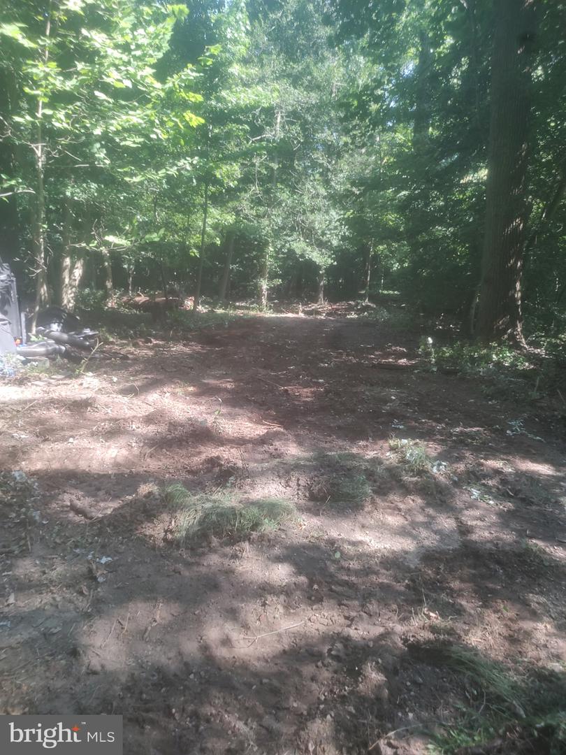 5940 BARBERRY TRL, LORTON, Virginia 22079, ,Land,For sale,5940 BARBERRY TRL,VAFX2257518 MLS # VAFX2257518