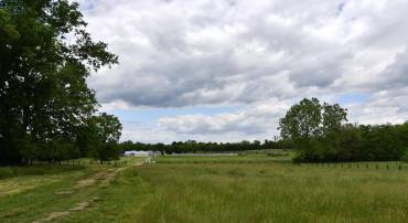 1070 WADESVILLE RD, BERRYVILLE, Virginia 22611, ,Farm,For sale,1070 WADESVILLE RD,VACL2005912 MLS # VACL2005912