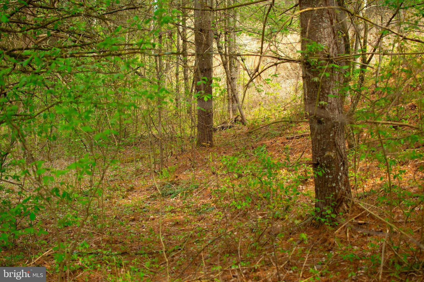 0 FAIRVIEW RD, BLACKWATER, Virginia 24221, ,Land,For sale,0 FAIRVIEW RD,VALE2000012 MLS # VALE2000012