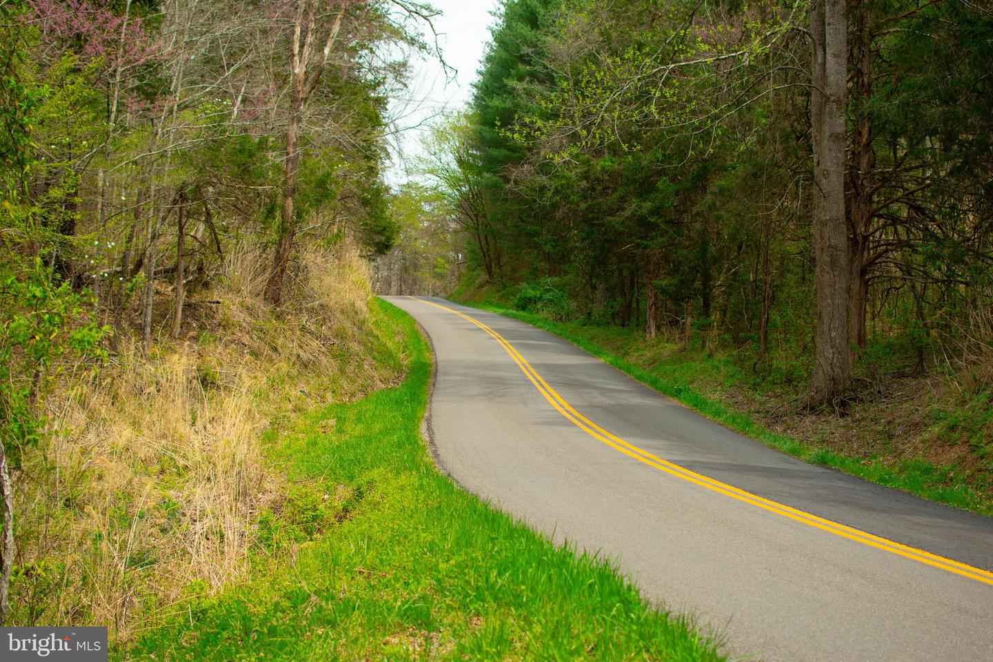 0 FAIRVIEW RD, BLACKWATER, Virginia 24221, ,Land,For sale,0 FAIRVIEW RD,VALE2000012 MLS # VALE2000012
