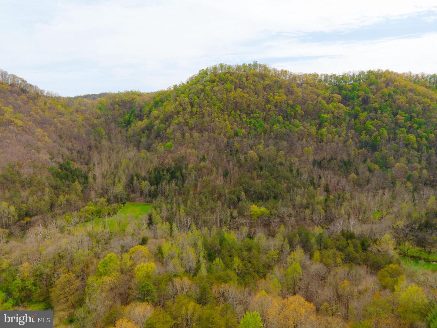 0 FAIRVIEW RD, BLACKWATER, Virginia 24221, ,Land,For sale,0 FAIRVIEW RD,VALE2000012 MLS # VALE2000012